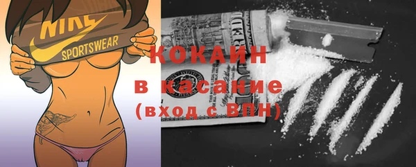 сатива Балахна