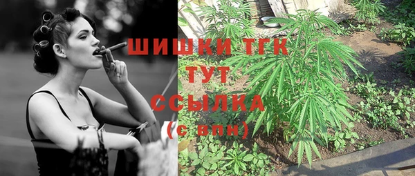 сатива Балахна