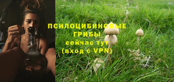 сатива Балахна