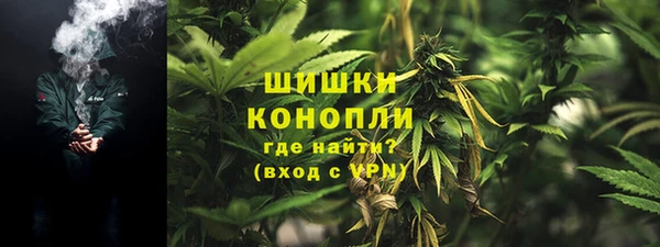 сатива Балахна
