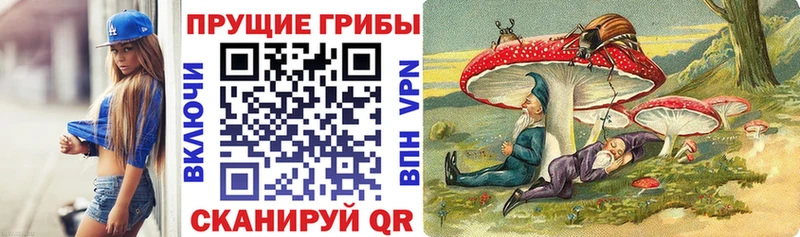 Псилоцибиновые грибы прущие грибы  Ясногорск 