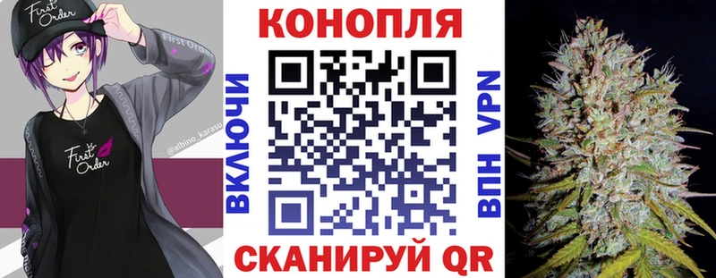 продажа наркотиков  Ясногорск  сайты даркнета формула  Канабис сатива 